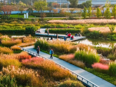 秋光為伴，我們與張村河共繪新景